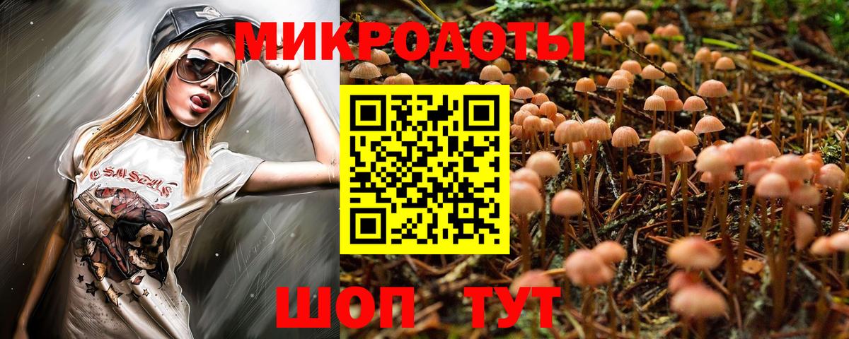 Галлюциногенные грибы Psilocybe Балашов