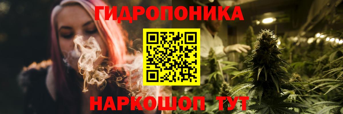 Бошки Шишки план Балашов